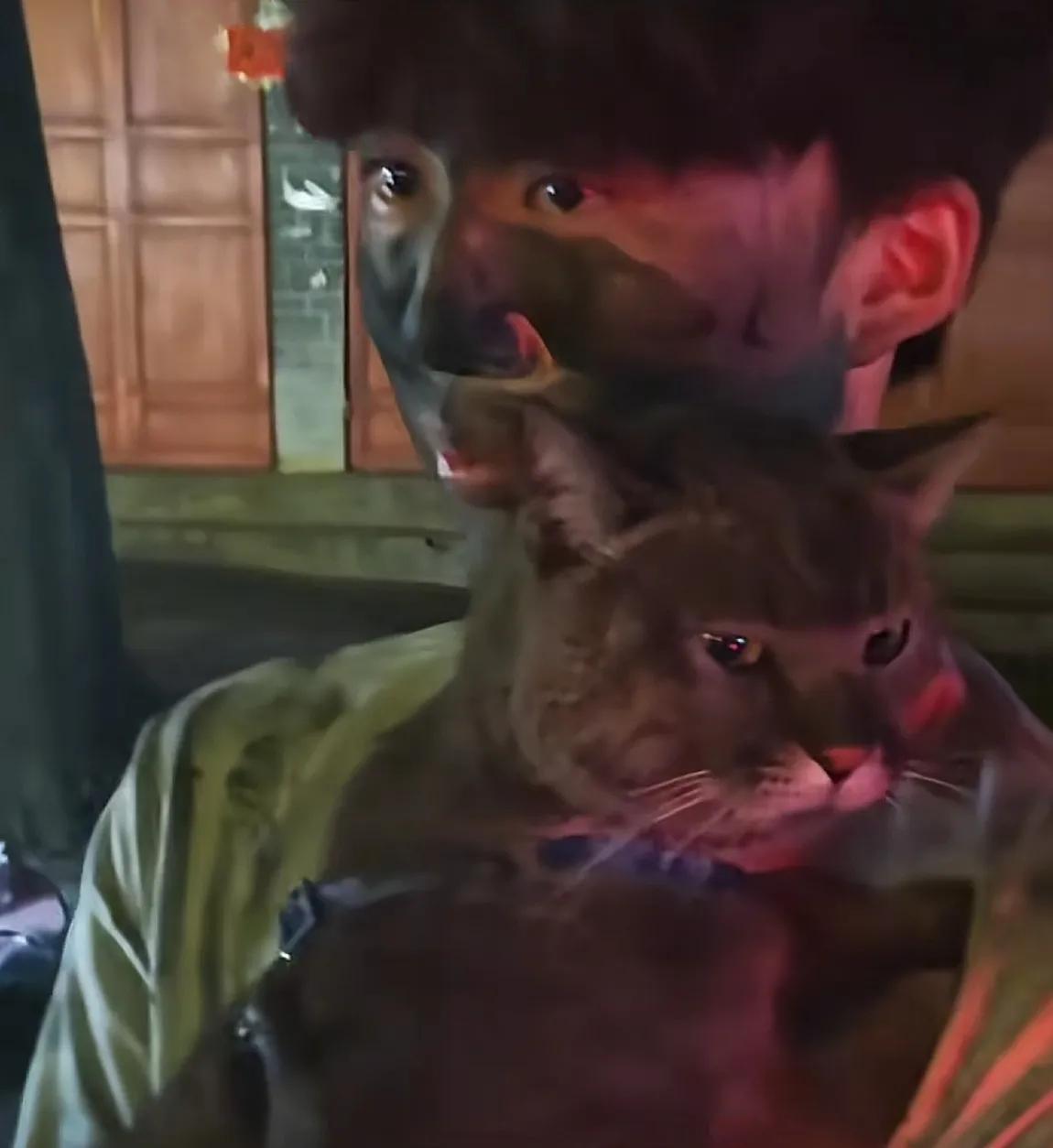 猫咪参加云南火把节秒变黑猫警长